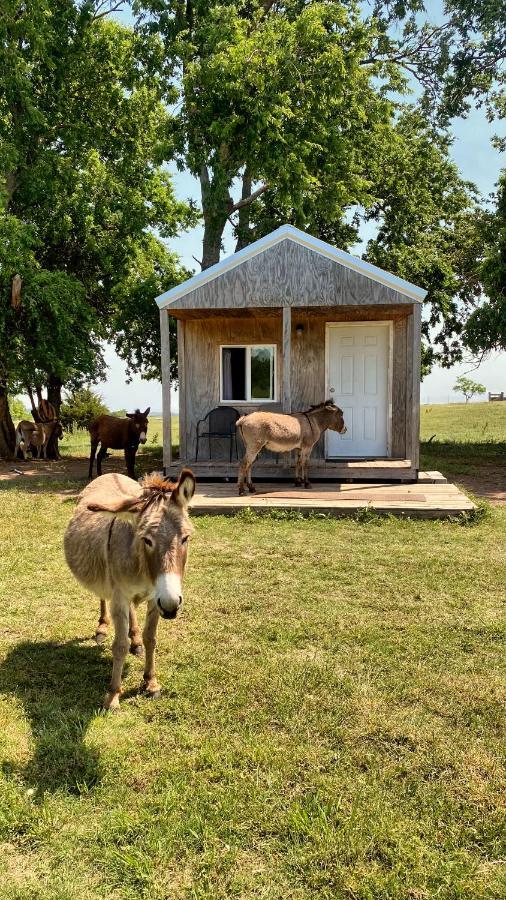 Tiny Cabin At The Donkeyranch Medicine Park Экстерьер фото